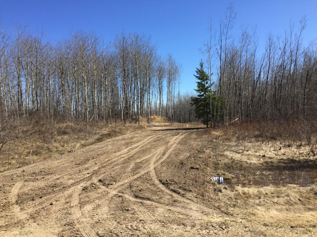 Acreage for sale in Land for Sale in Edmonton - Image 2