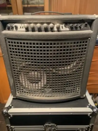 I have 2 of these cabs for sale. 2 X 10" with Tweeter. The first one is excellent and a steal at $24...