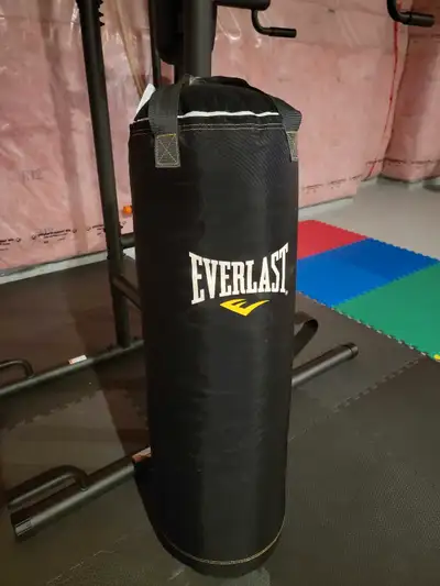 NO STAND Excellent Havy EVERLAST Boxing Punching Bag 100lb, View more