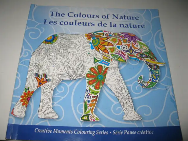 Album à colorier  et Mandala - 3 in Hobbies & Crafts in Québec City - Image 3