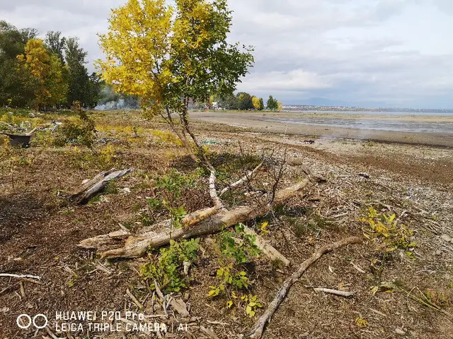 CHALET à louer bord de l'eau  Fl. St-Laurent " QUEBEC "2026 in Quebec in Canada - Image 7