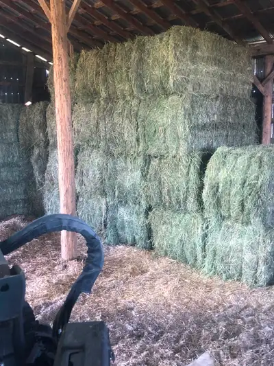 New crop big squares of First Cut Hay, View more