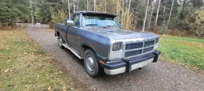 91 D250. Bought from the original owner who was moving to assisted living. Good truck. Body in great...