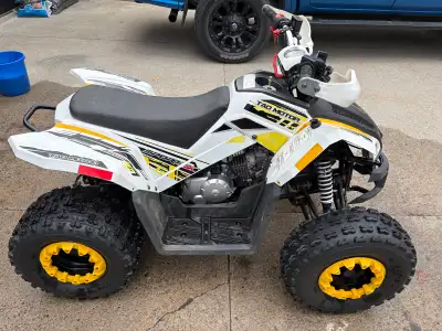 2021 Tao Motors 125cc atv. Brand new engine installed last fall. I don’t think there’s even 2 hours...