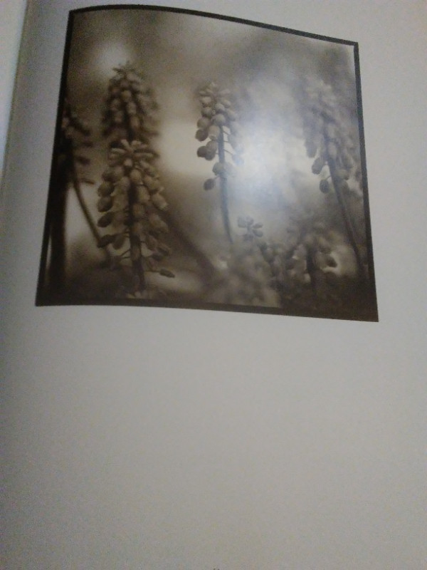 Dana Buckley: Fifty - photographic art book in Non-fiction in Kitchener / Waterloo - Image 3