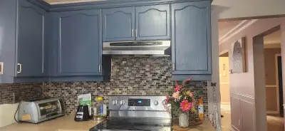 3 bedroom 2.5 bathroom for $2800