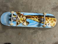 Skate board and accessories 