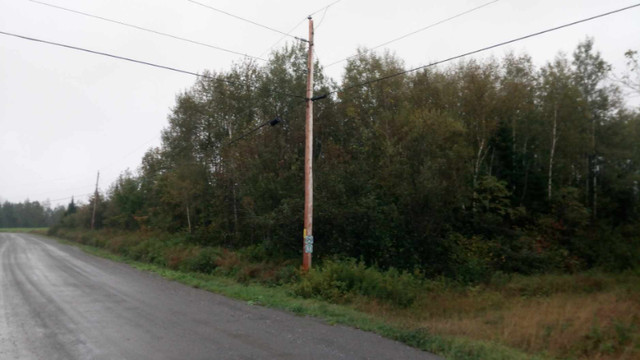 Terrain en campagne dans Terrains à vendre  à Rimouski / Bas-St-Laurent - Image 2