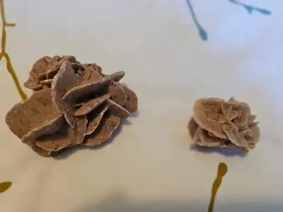 Petites Roses des sables, View more