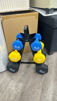 BNIB Amazon Basics Dumbbell Hand Weights set 4lb, 8lb, 1 Markham / York Region Toronto (GTA) Preview