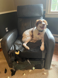 Free electric recliners 