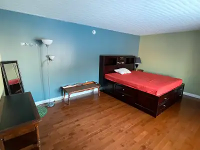 Cozy Room for Rent