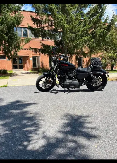 Sportster Iron 1200 -2020 Milage : 10 723 Guidon: 12’’ Très propre je l’ai toujours chouchoutée avec...