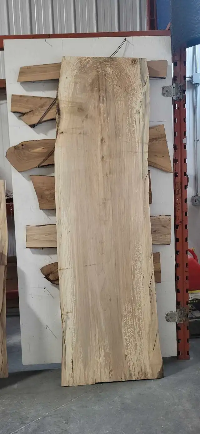 Huge live edge slabs in Other in Winnipeg - Image 2