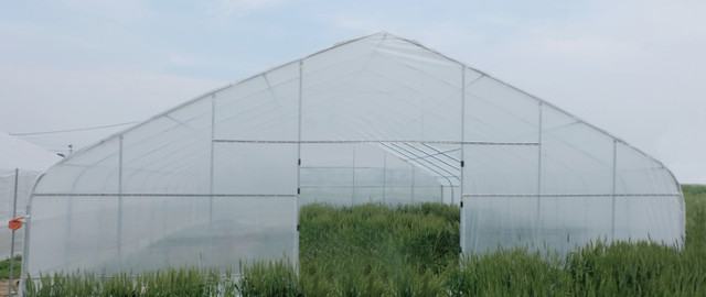 30′ x 80′ x 15′ Heavy-duty Tunnel Greenhouse in Other in Thompson - Image 2