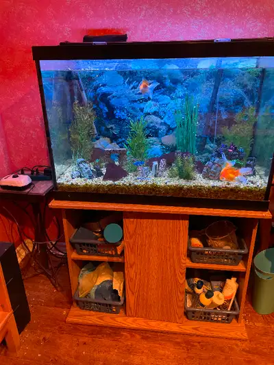 Free fish tank and stand
