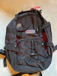 Backpack STM
