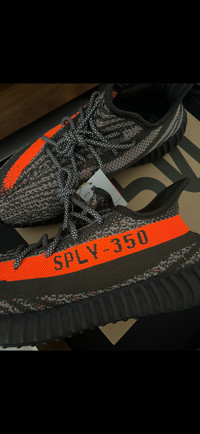 Yeezy 350 Carbon Belugas (Size 11) 