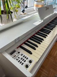ZHRUNS 88 key weighted digital piano