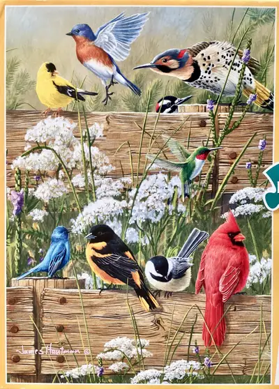 Casse-tête 300 Puzzle: Ménagerie, Songbirds, View more