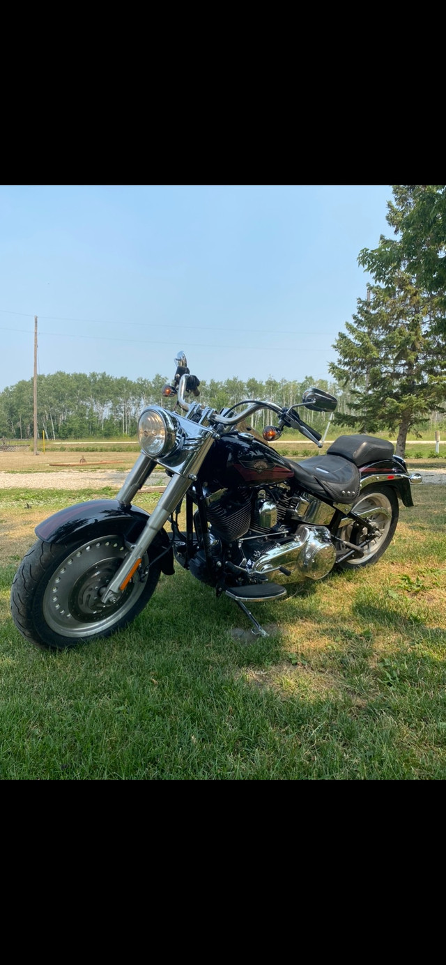 2007 Fatboy  in Street, Cruisers & Choppers in Winnipeg - Image 2