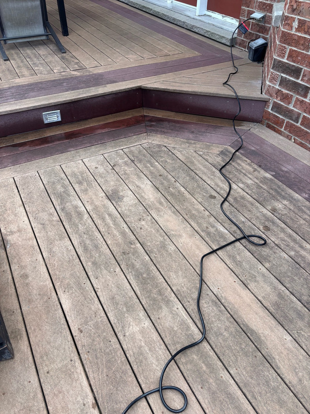 Window clean/Hedge Trimming & Property Maintenance - Ottawa in Lawn, Tree Maintenance & Eavestrough in Ottawa - Image 3