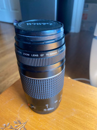 Canon EF 55-300mm Zoom Lens