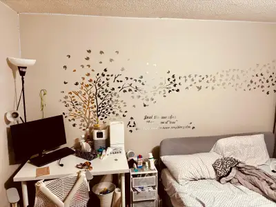 2 Bedroom, 1 washroom basement in Mississauga