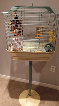 Bird cage with accessories, and food.