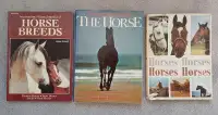 COFFEE TABLE HORSE BOOKS