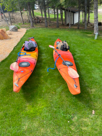 2-Kayaks. Tsunami
