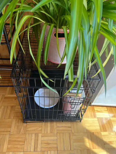 Cage pour chiens ou chat