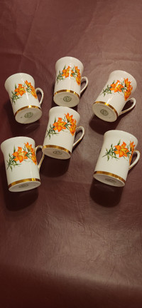 Six 7oz. Prairie Lily (Royal Windsor) Bone China Coffee Mugs