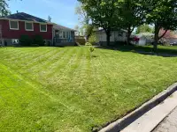 Grass cutting & yard  maintenance 