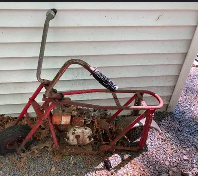 Will Go buy any old mini bike Go-Karts lawn mowers weed eaters basically anything with the motor. Se...