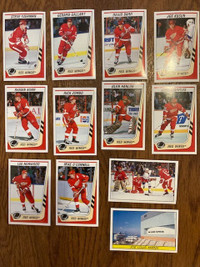 Lot of 12 1989-90 Panini Detroit Red Wings hockey stickers