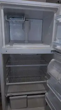 Fully functional refrigerator 
