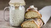 Sourdough Bread / Pasta Starter