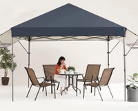 10x10 foldable Canopy with dual awnings & wheeled carrying bag