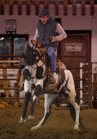 Cowboy /  Horseman for hire