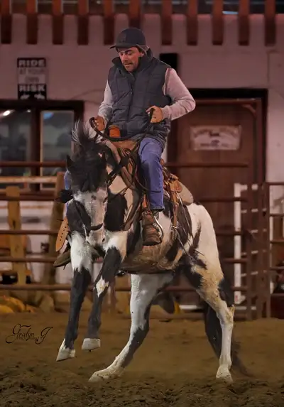 Cowboy /  Horseman for hire, View more