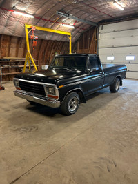 1979 ford f150