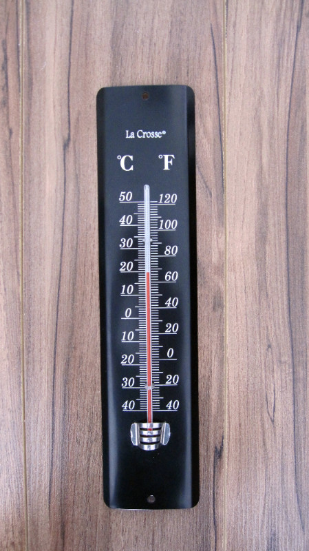 Thermometer in Other in Regina