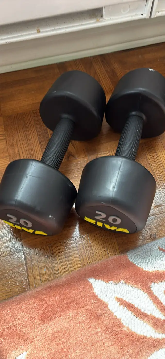 20 lb weights  in Exercise Equipment in Ottawa - Image 4