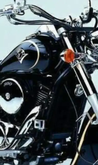 NEW Kawasaki Genuine Parts turn lamp signal Vulcan 900 vn1500 Classic Nomad 1500 Drifter 800 vn1500...