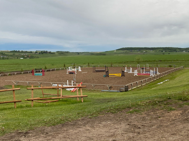 Horse  board in Horses & Ponies for Rehoming in La Ronge - Image 4
