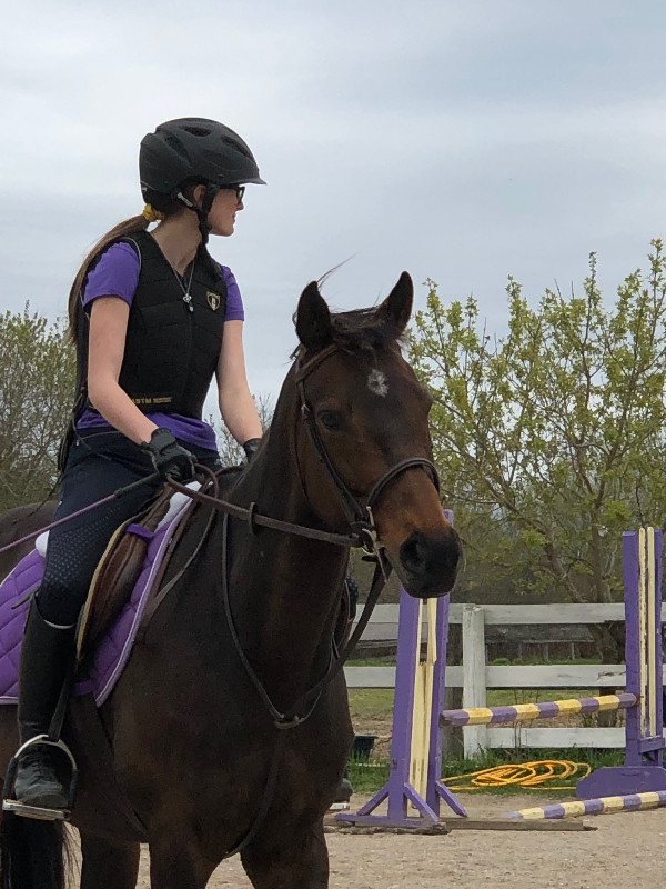 Riding Lessons in Horses & Ponies for Rehoming in Kitchener / Waterloo