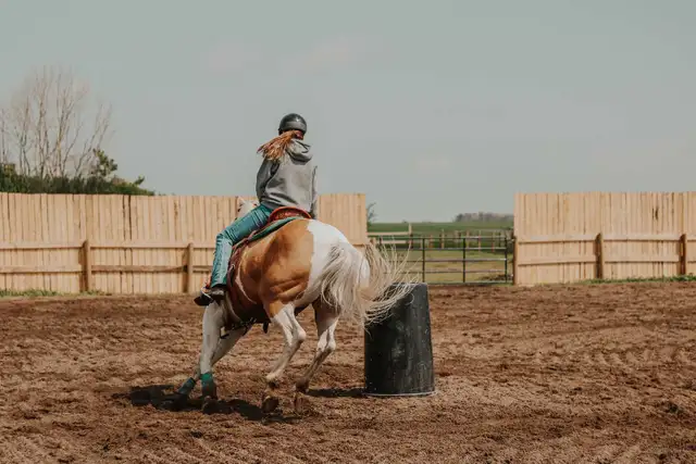 Riding lessons575594891188654083