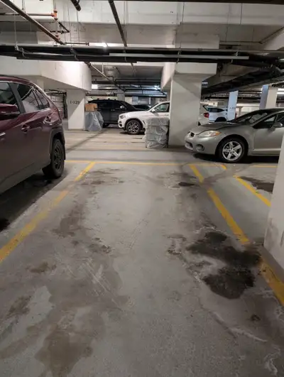 Secure, heated underground parking stall available near the Harry Hays building. Steps away from the...