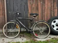 Free adult bike